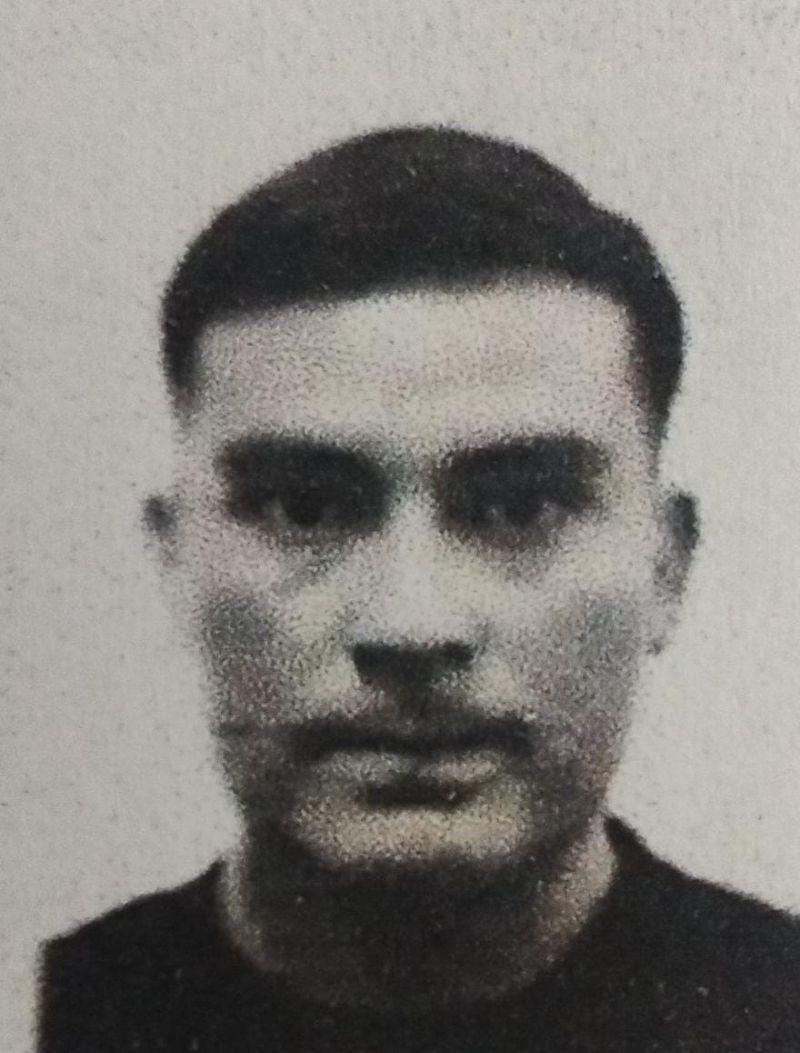 User Image